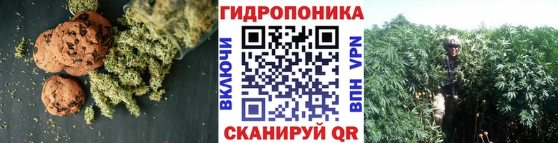 магазин наркотиков сайты даркнета как зайти Еда ТГК марихуана Кяхта