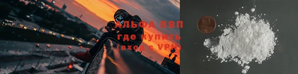 гашик Белокуриха