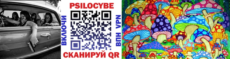 Псилоцибиновые грибы MAGIC MUSHROOMS магазин продажи Кяхта